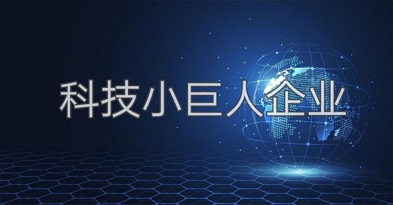 科技小巨人是什么？廣州市企業(yè)科技小巨人怎么認(rèn)證申請