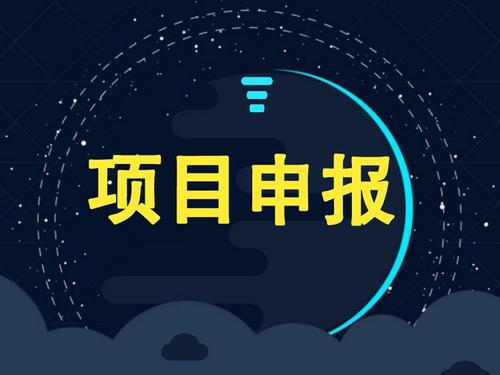 企業(yè)可以獨自申請項目補貼嗎？成功率怎么樣？