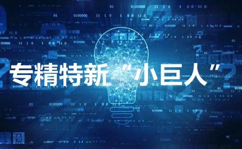 【詳細】專精特新企業(yè)申報流程、條件、領域